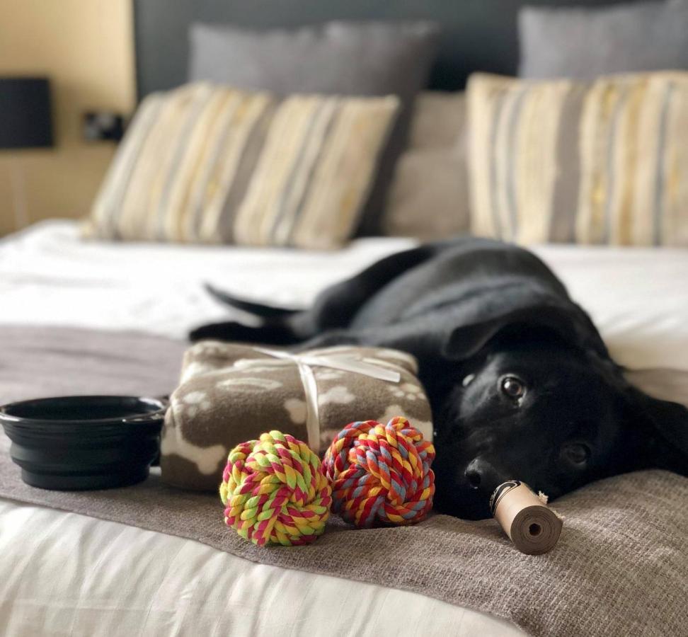 The Ashleigh - Dog Friendly Bed and Breakfast Bournemouth Buitenkant foto