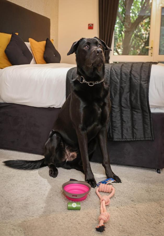 The Ashleigh - Dog Friendly Bed and Breakfast Bournemouth Buitenkant foto
