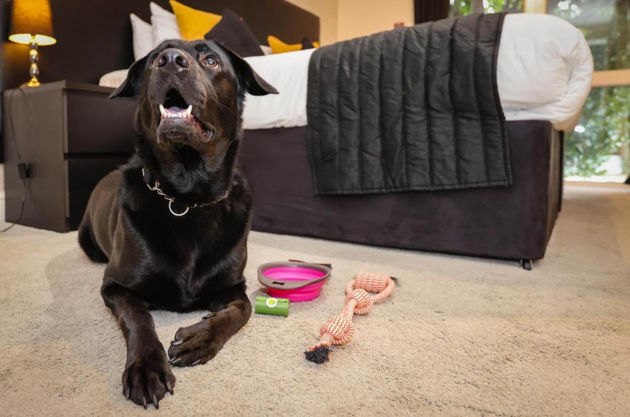 The Ashleigh - Dog Friendly Bed and Breakfast Bournemouth Buitenkant foto