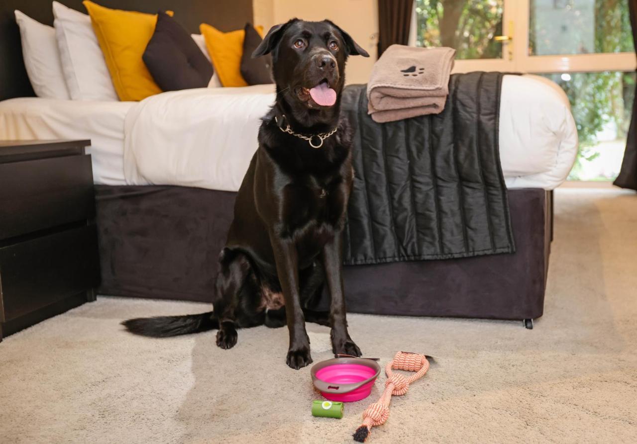The Ashleigh - Dog Friendly Bed and Breakfast Bournemouth Buitenkant foto